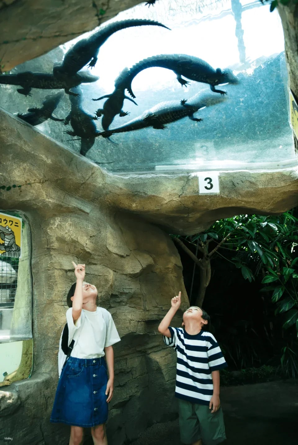 [Get a discount by purchasing in advance] Atagawa Banana Crocodile Park Admission Ticket Reservation (Shizuoka Prefecture)