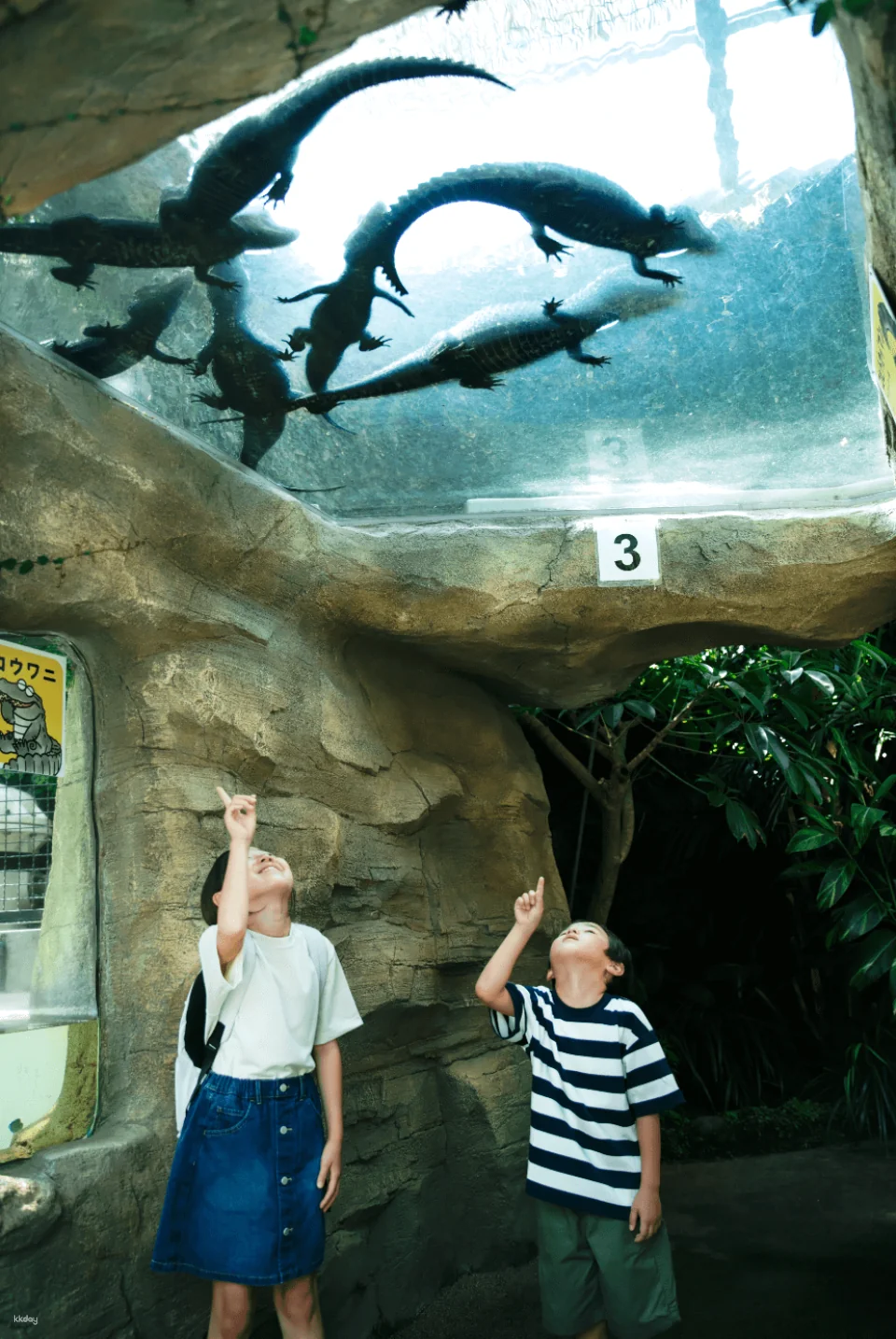 [Get a discount by purchasing in advance] Atagawa Banana Crocodile Park Admission Ticket Reservation (Shizuoka Prefecture)