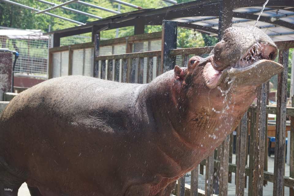 [Official Sales] Shirotori Zoo Admission Ticket (Kagawa Prefecture Zoo)