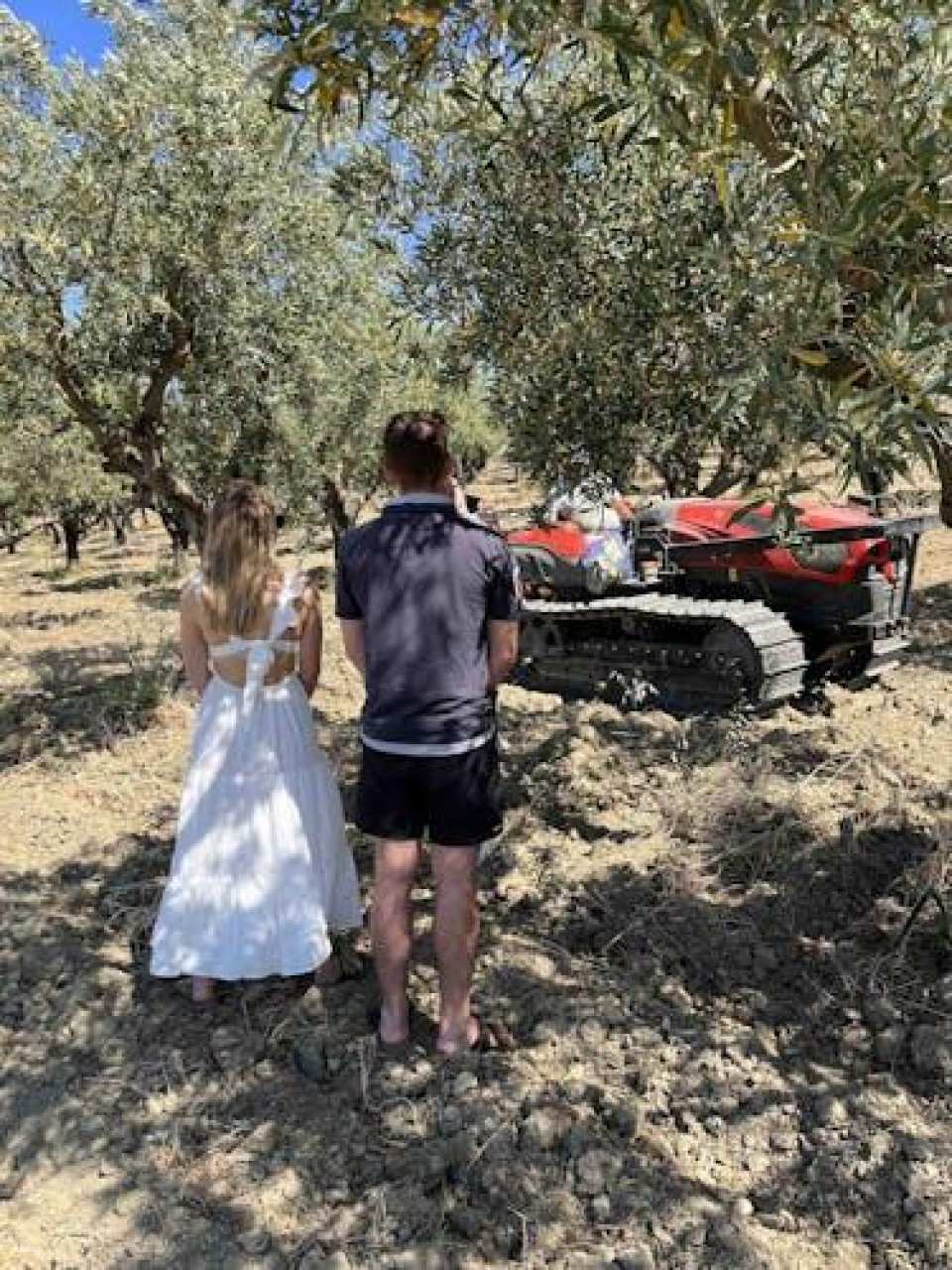 Oil and food tasting in the province of Agrigento