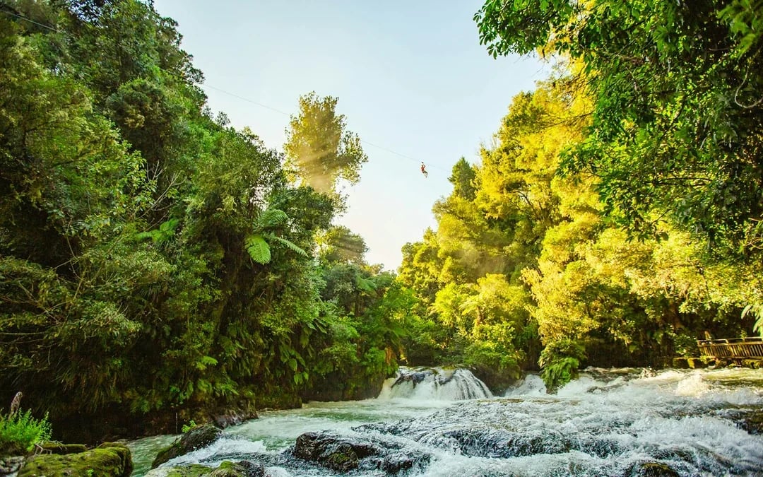 Okere Falls Zipline Experience Image 6
