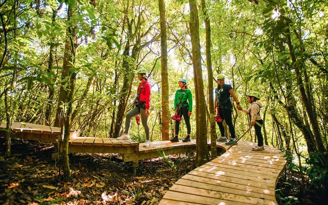 Okere Falls Zipline Experience Image 7