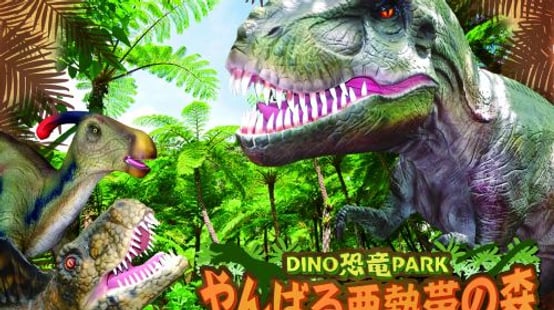 Okinawa attraction pass | Okinawa fun pass