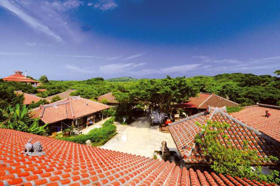 Okinawa Cultural Kingdom Ticket｜Gyokusendo・Kingdomura・Venomous Snake Museum Park