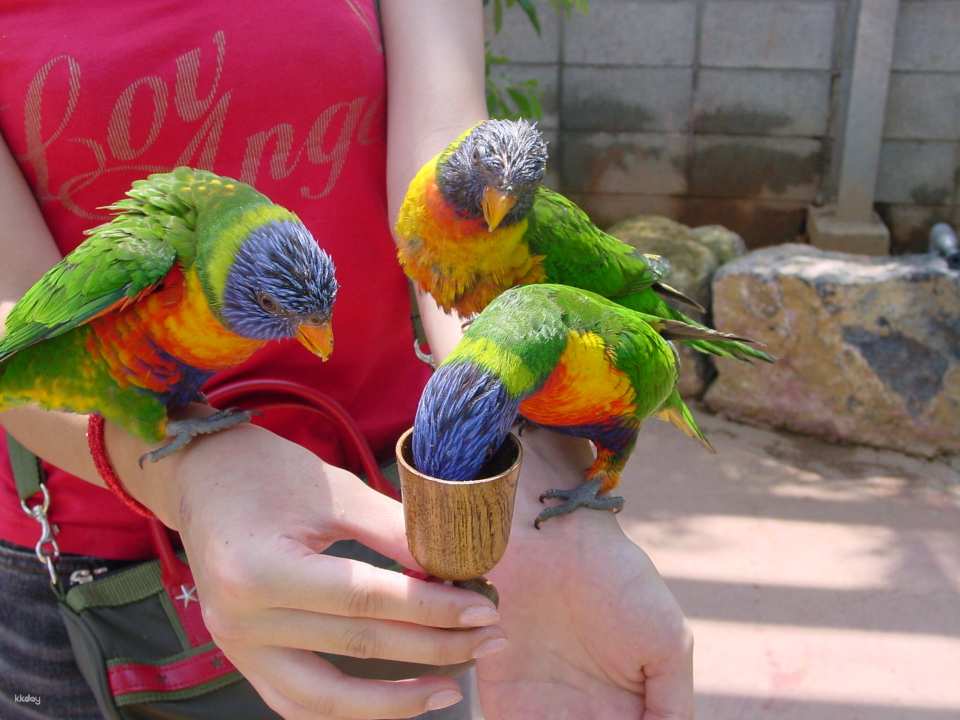 Okinawa Fruit Land 10% Discount Admission Ticket｜Okinawa, Japan