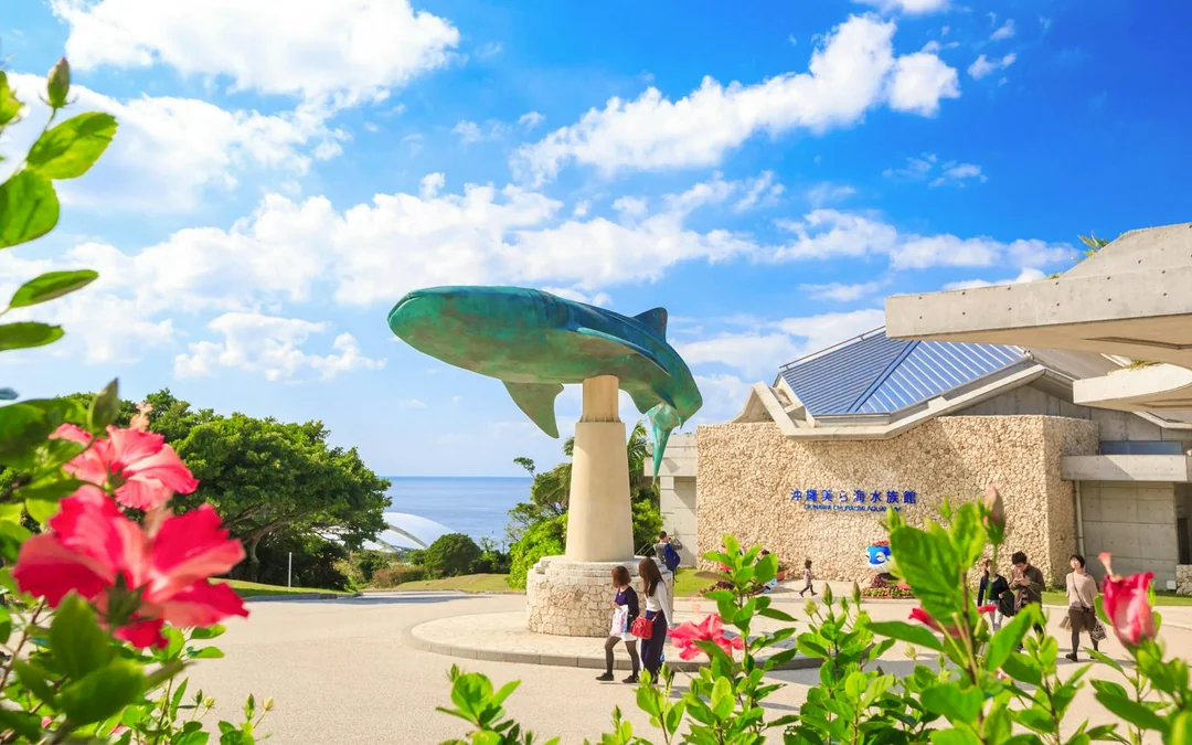 Okinawa Hip Hop Bus Tour with Churaumi Aquarium, Glass Boat Ride & American Village Image 1