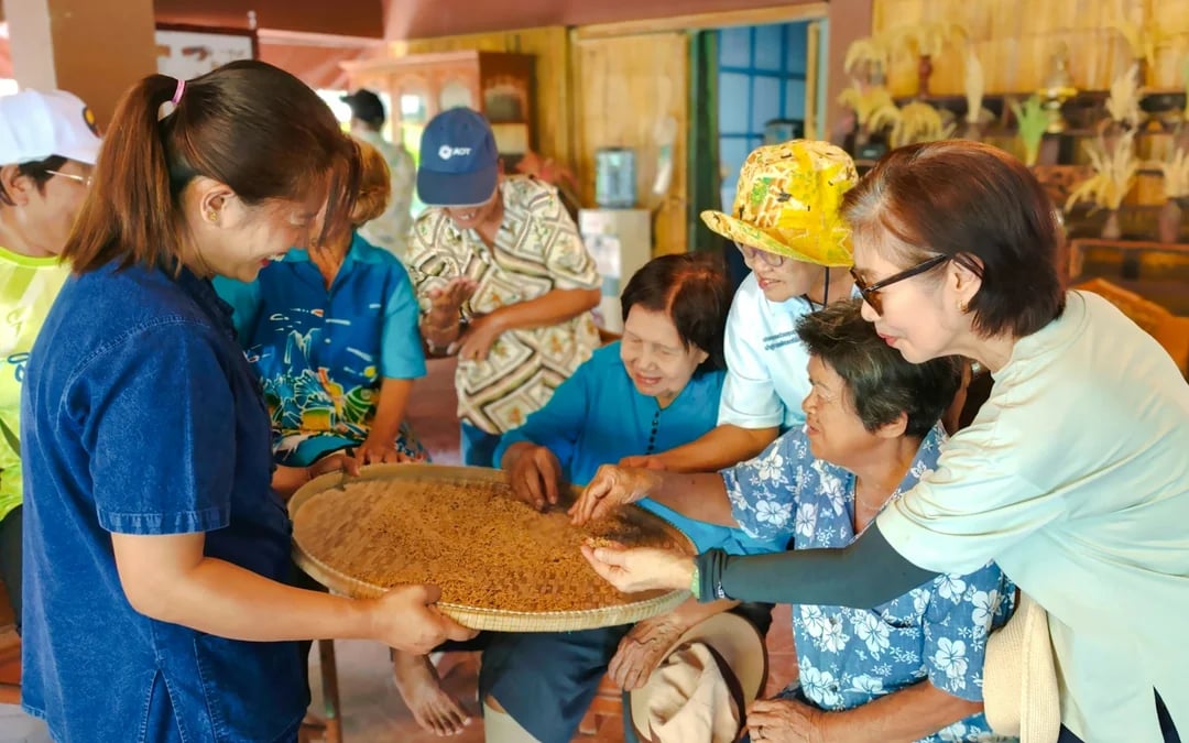 Old Phuket Farm Guided Tour with Hands-On Cultural Activities Image 8