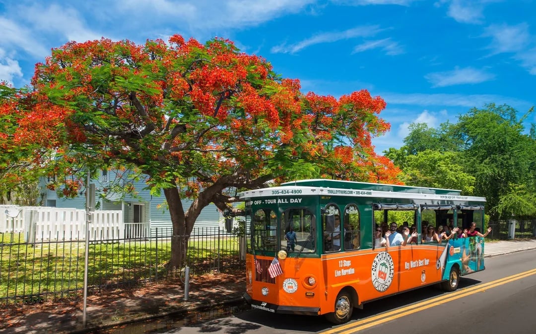 Old Town Trolley Tours: Key West Hop-on Hop-off Bus Tour Image 4