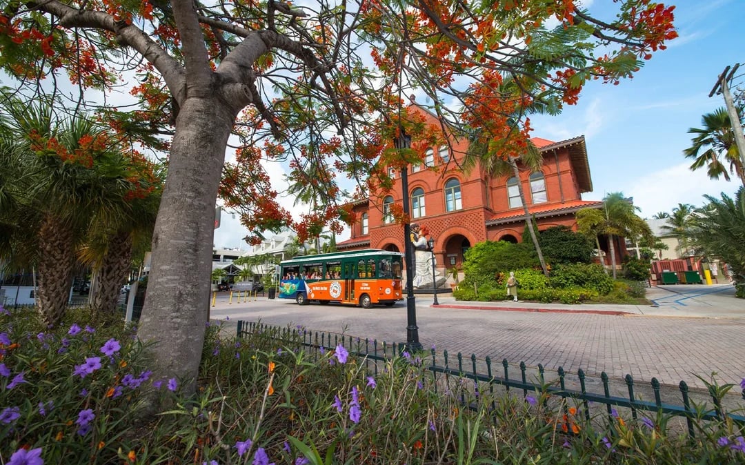 Old Town Trolley Tours: Key West Hop-on Hop-off Bus Tour Image 10