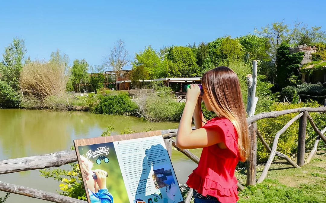 Oltremare Riccione Image 5