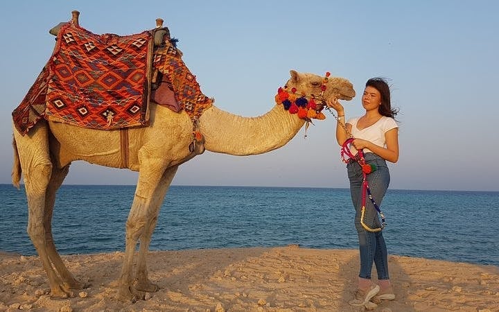 One hour Camel Ride At Amazing Desert With Transfer - Sharm El Sheikh Image 2
