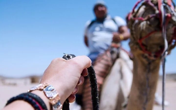 One hour Camel Ride At Amazing Desert With Transfer - Sharm El Sheikh Image 4