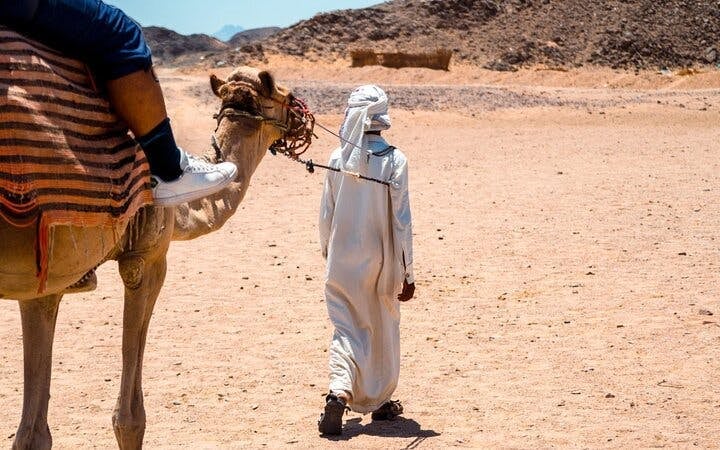 One hour Camel Ride At Amazing Desert With Transfer - Sharm El Sheikh Image 8