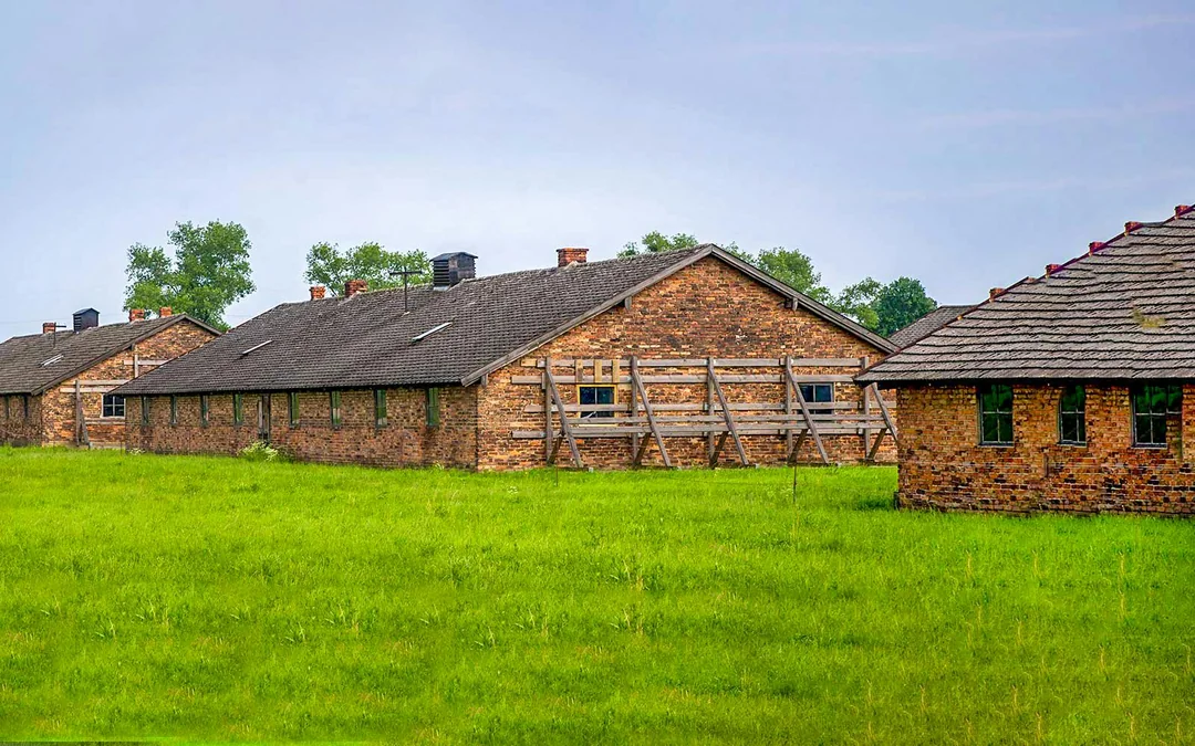 One-Way Tickets: Auschwitz-Birkenau Museum to/from Krakow Bus Station Image 4