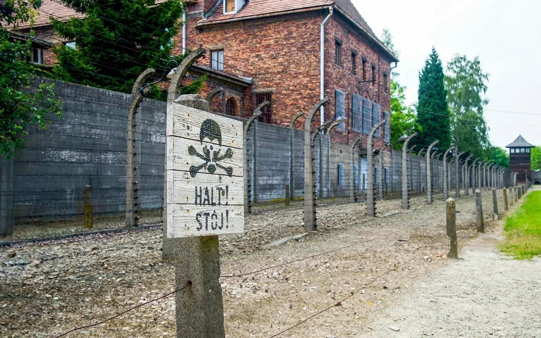 One-Way Tickets: Auschwitz-Birkenau Museum to/from Krakow Bus Station Image 6