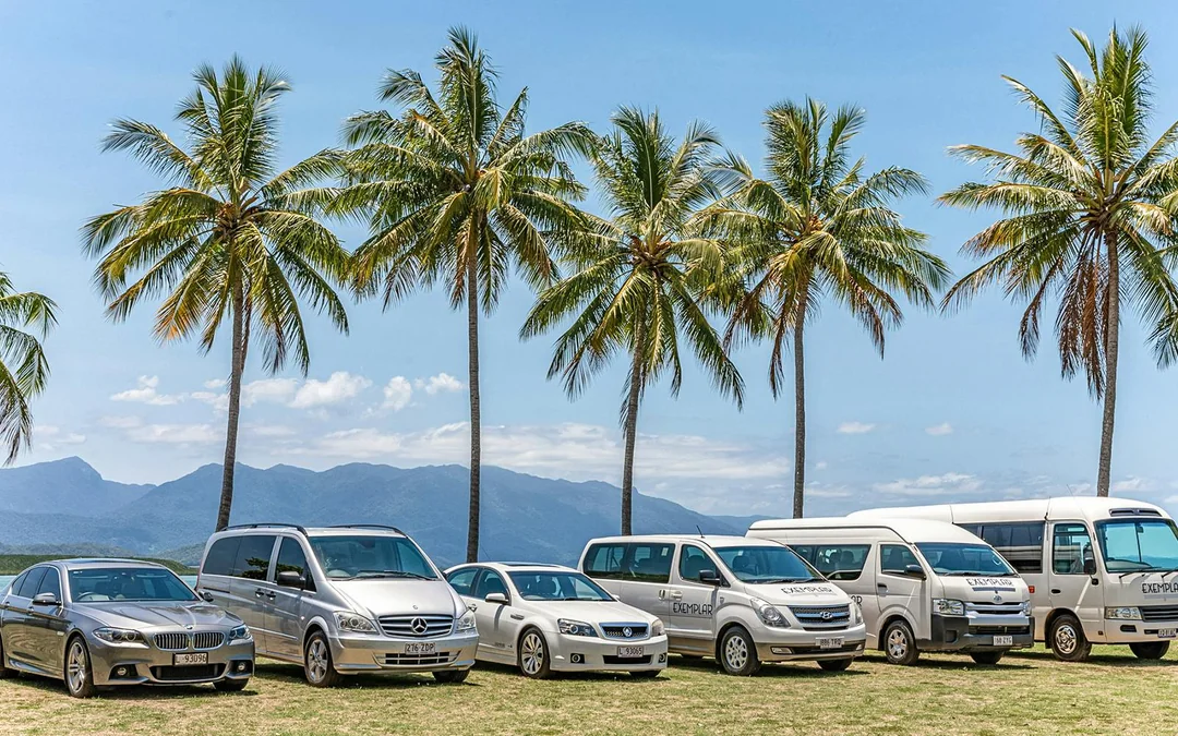 One-Way Tickets: Cairns City to Cairns Airport/Cairns City/Palm Cove/Port Douglas Image 6
