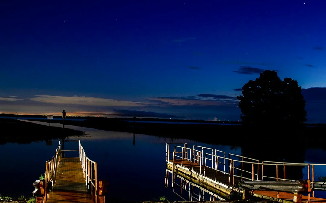 Orlando: Boggy Creek 1-Hour Night Airboat Tour Image 4