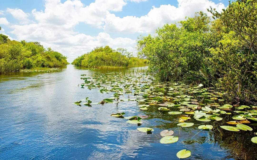 Orlando: Boggy Creek 30-Minute Airboat Tour Image 2