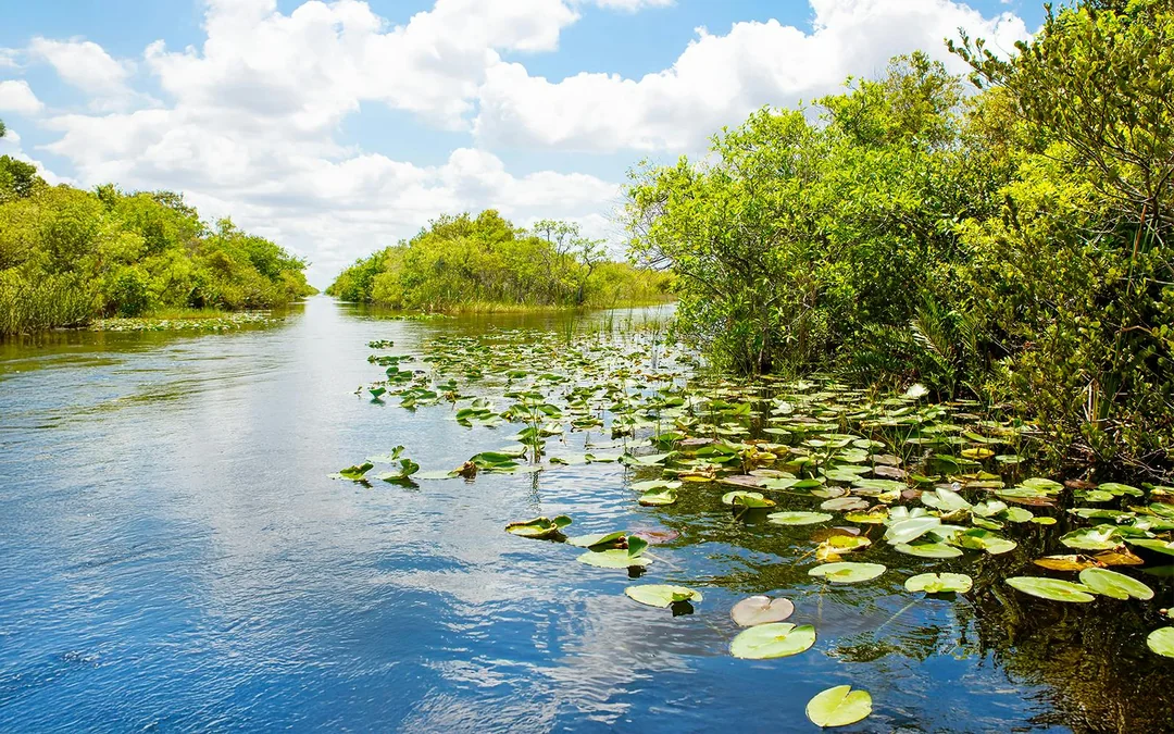 Orlando: Boggy Creek 30-Minute Airboat Tour Image 2