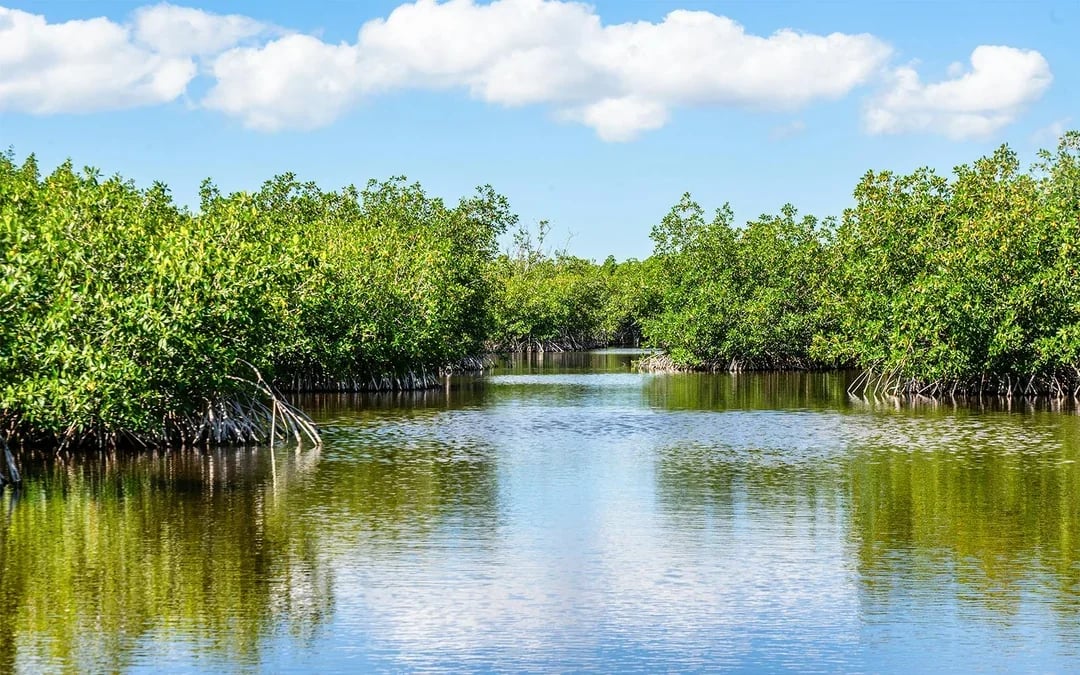 Orlando: Boggy Creek 30-Minute Airboat Tour Image 6