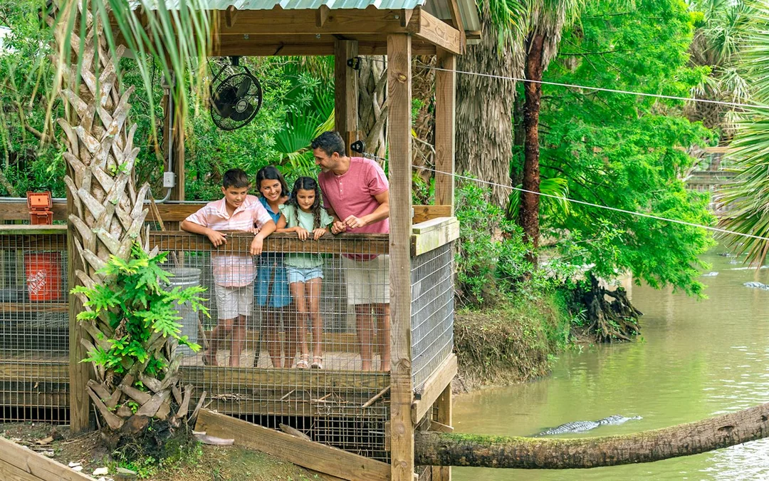 Orlando: Wild Florida 1‑Hour Airboat Tour with Gator Park Tickets Image 5