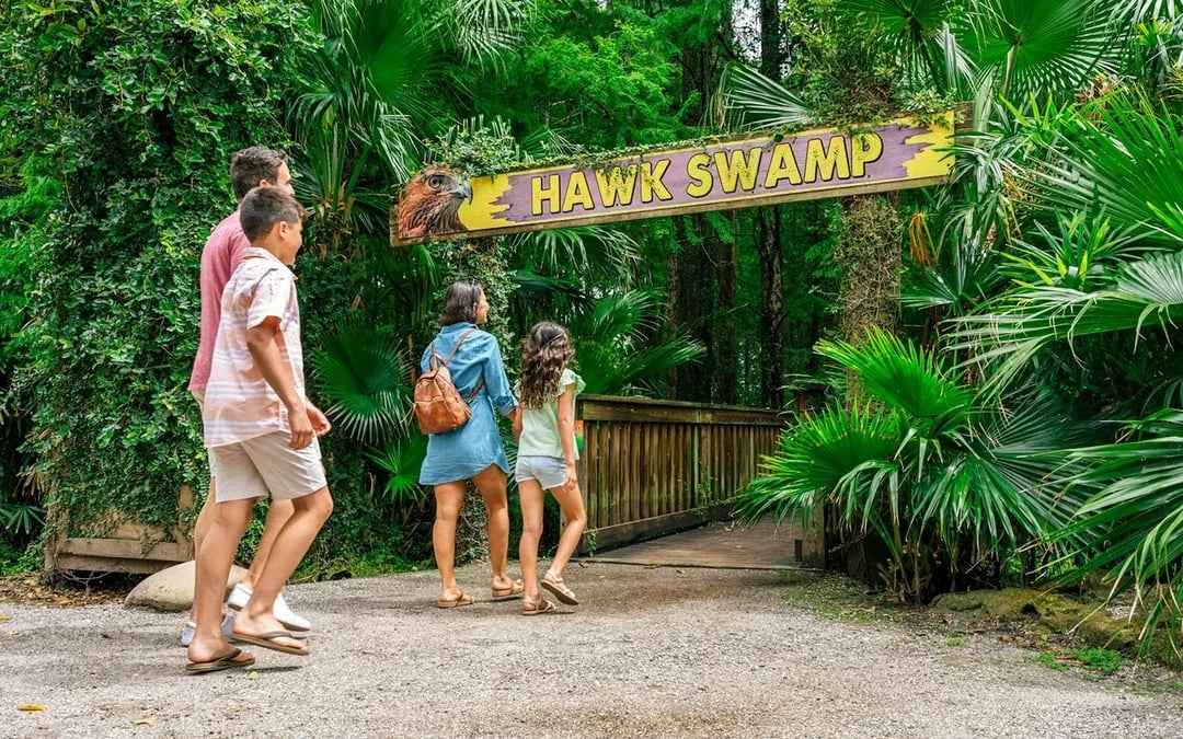Orlando: Wild Florida 1‑Hour Airboat Tour with Gator Park Tickets Image 6