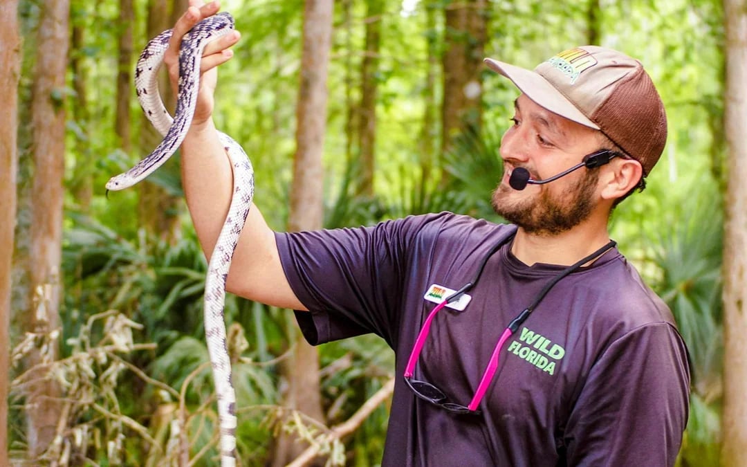 Orlando: Wild Florida Airboat Tour with Gator Park Tickets Image 9