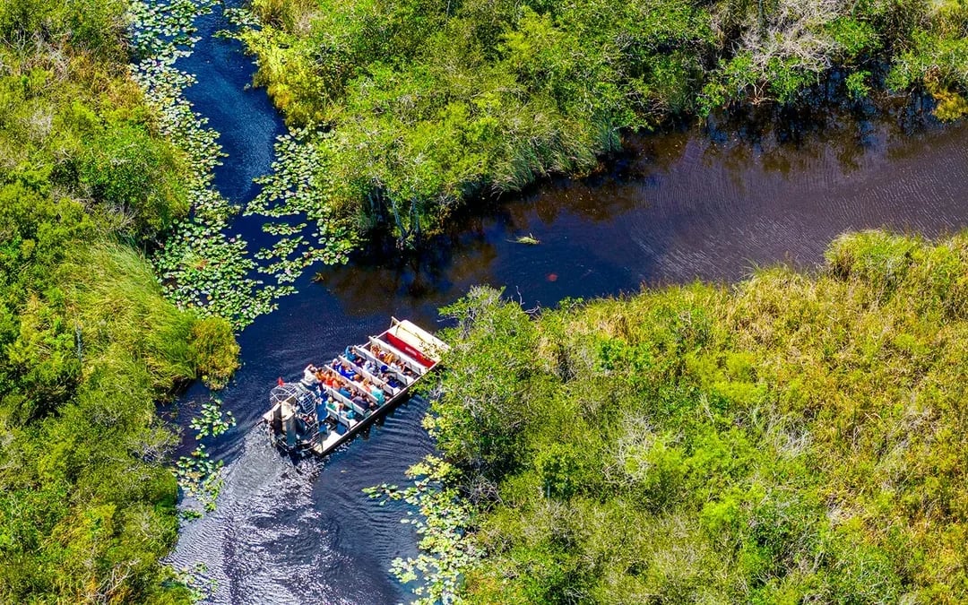 Orlando: Wild Florida Airboat Tour with Wildlife Park & Transportation from Orlando Image 2