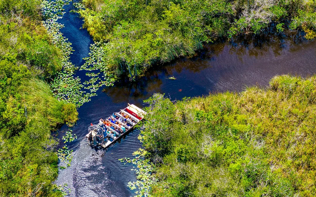 Orlando: Wild Florida Airboat Tour with Wildlife Park & Transportation from Orlando Image 2