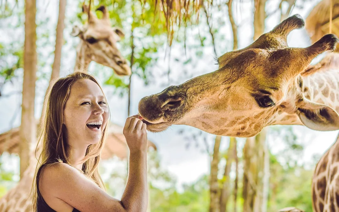 Orlando: Wild Florida Airboat Tour with Wildlife Park & Transportation from Orlando Image 4