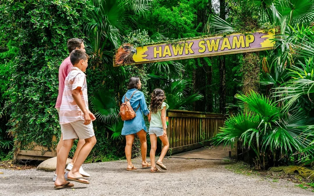 Orlando: Wild Florida Drive‑Thru Safari Park Image 11