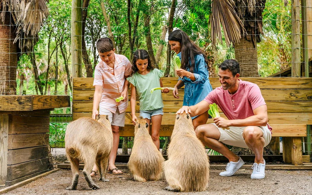 Orlando: Wild Florida Drive‑Thru Safari Park Image 12