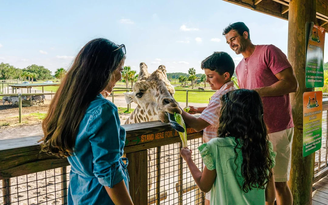 Orlando: Wild Florida Drive‑Thru Safari Park Image 3