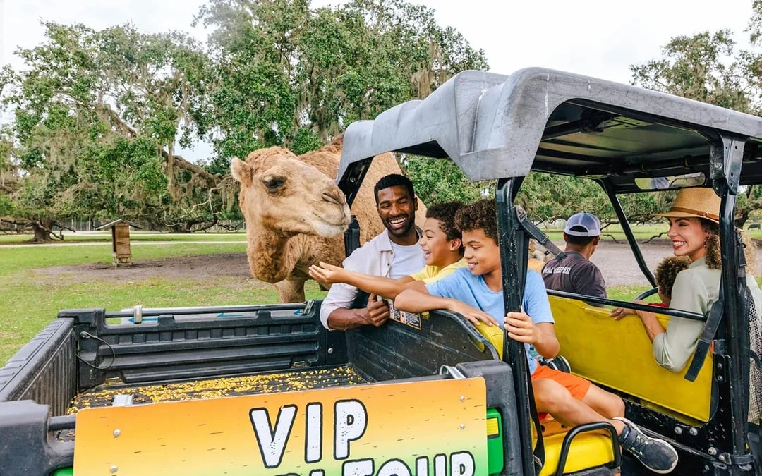 Orlando: Wild Florida Drive‑Thru Safari Park Image 6