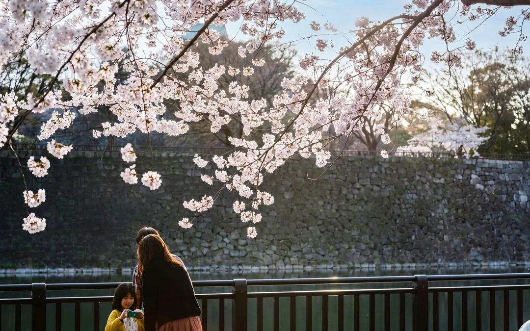 Osaka Castle 3 hours Historical Walking Tour Image 5