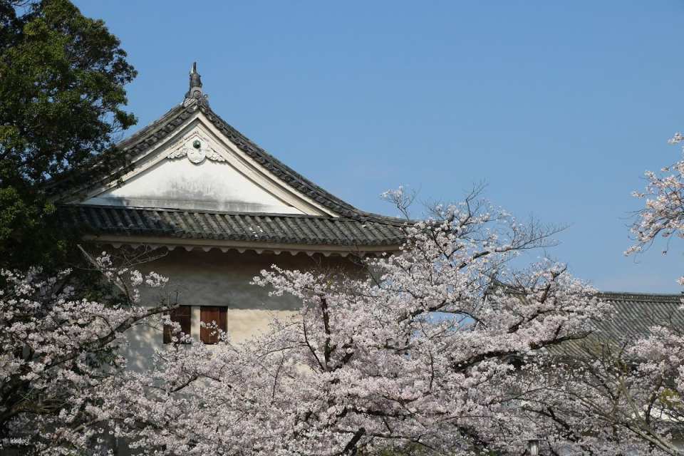Osaka, Japan | Osaka Castle Park, Nishinomaru Garden - Electronic Ticket