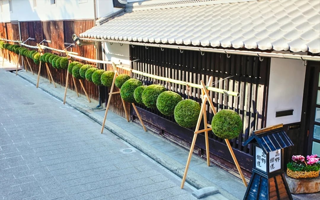 Osaka Saijo Sake Brewery Tour with Sake Tasting Image 5