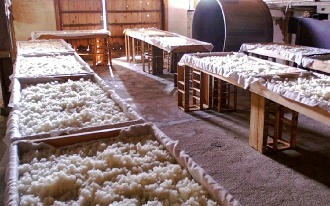 Osaka: Yamano Sake Brewery Tour with Tasting Image 4
