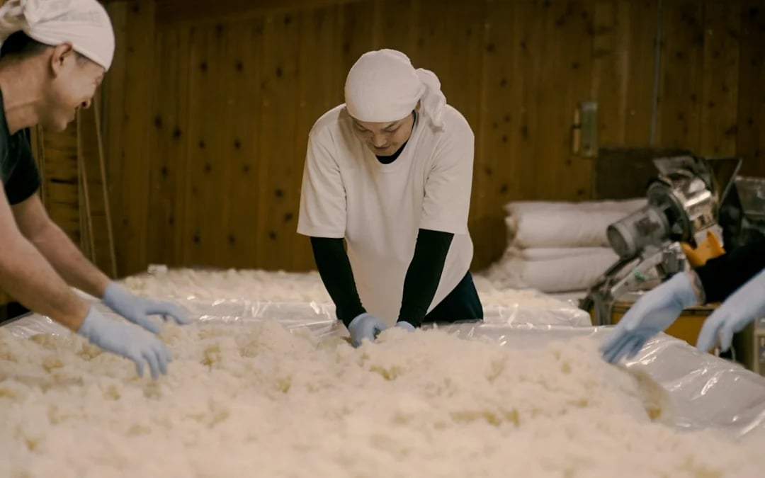 Oshu: Iwate Meijo Sake Brewery Tour with Tasting Image 3