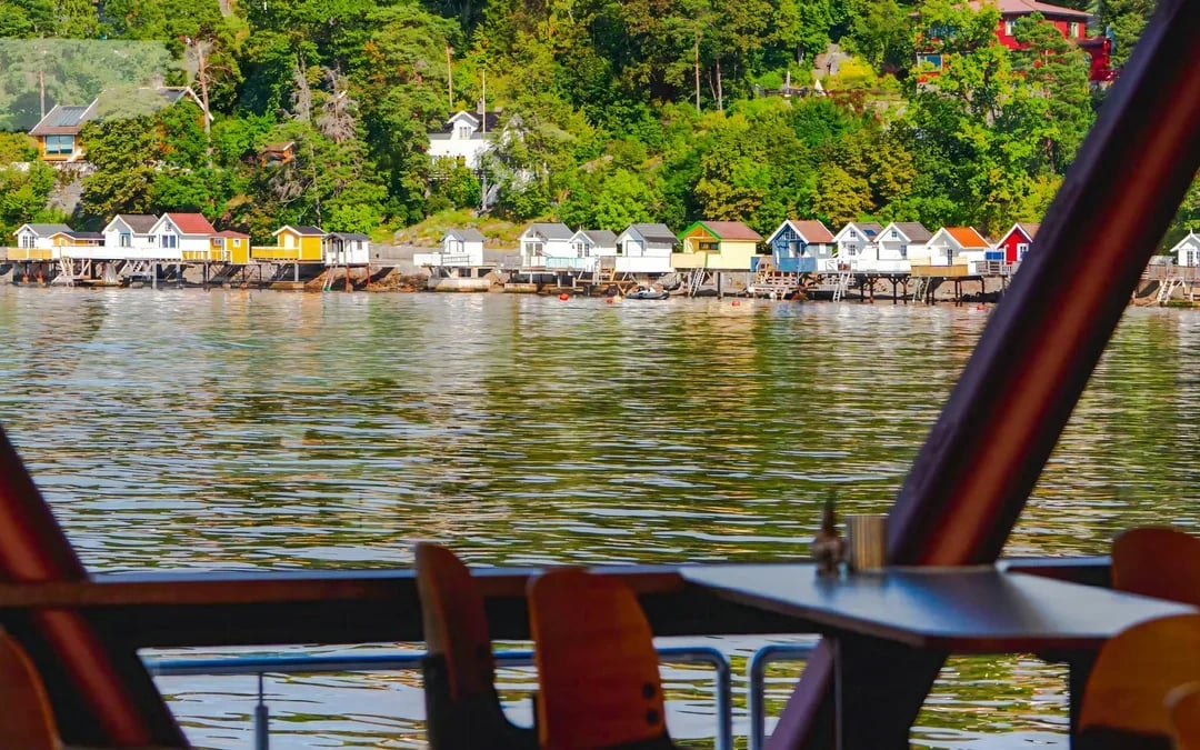 Oslo: Guided Sightseeing Fjord Cruise on Premium Silent Boat Image 6