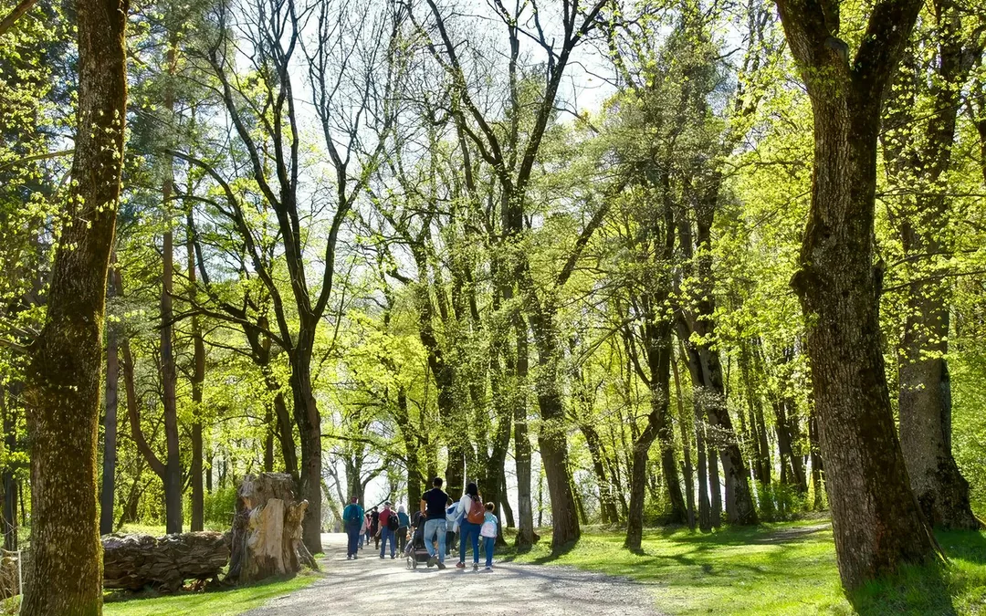 Oslo: Oslofjord Island Hopping Tours Image 4