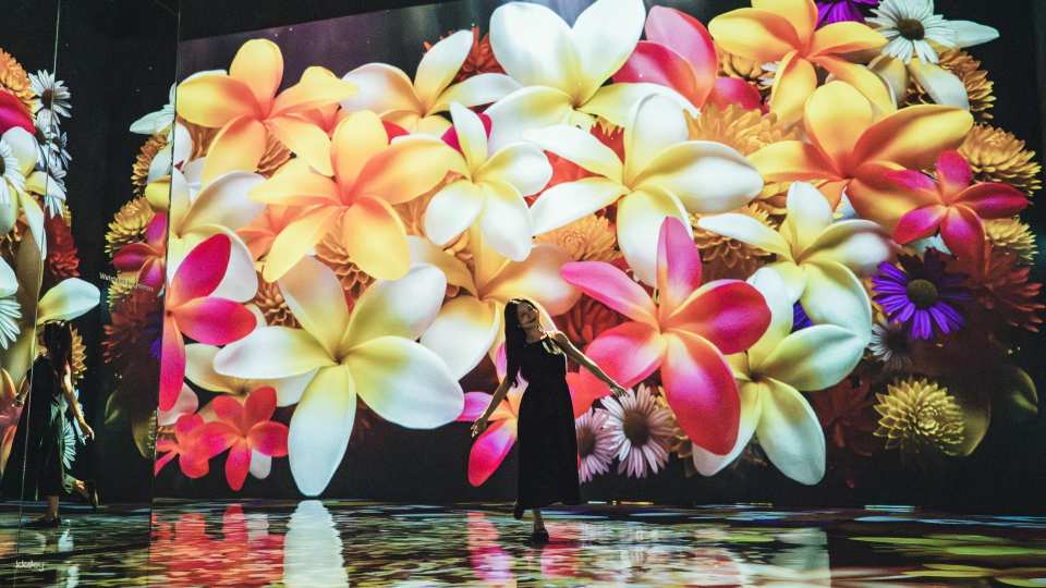 Pado Media Art Space Ticket in Pattaya | Thailand