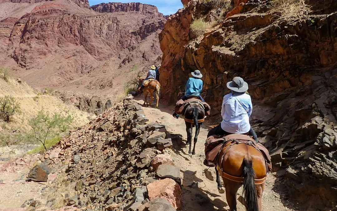 Page: 1 Hour Horseshoe Bend Trail Ride Image 2
