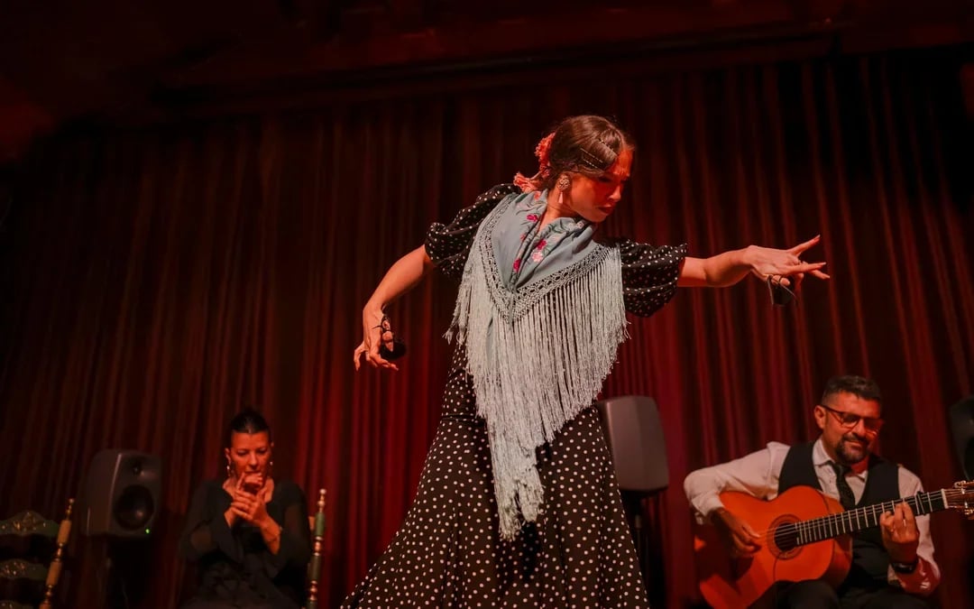 Palau Dalmases - Flamenco Show Image 8