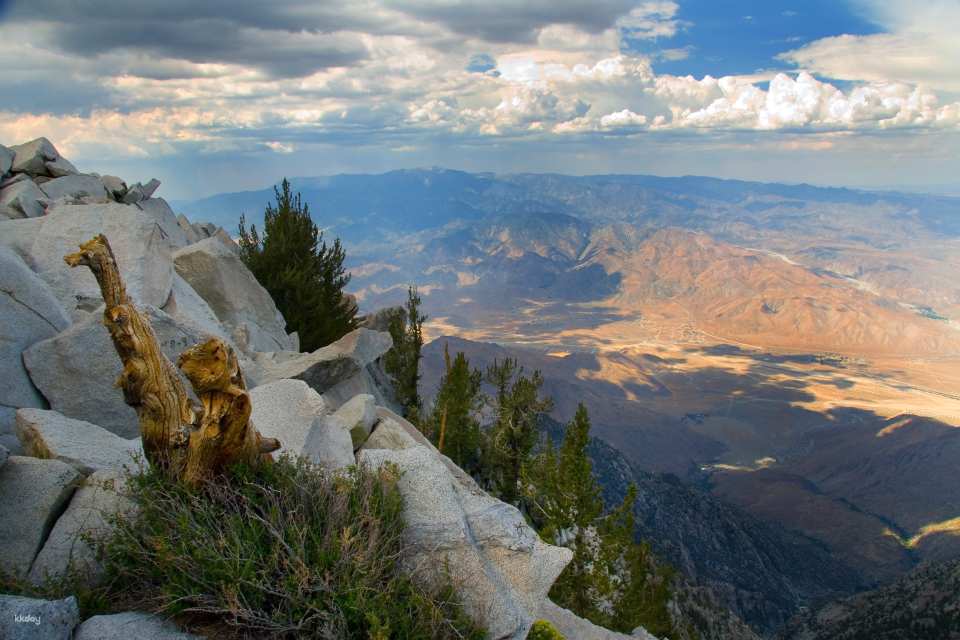 Palm Springs Aerial Tramway Ticket | California