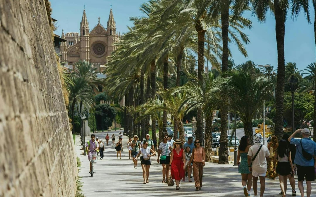 Palma Tour with Cathedral and Valldemossa  Image 3