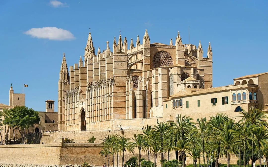 PalmaBus Excursion Image 6