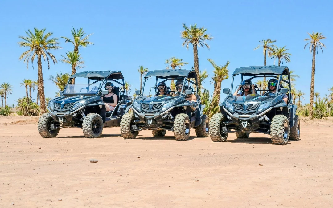 Palmeraie Buggy Ride with Hotel Transfers Image 1
