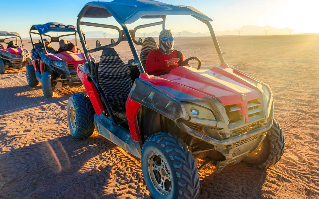 Palmeraie Buggy Ride with Hotel Transfers Image 4