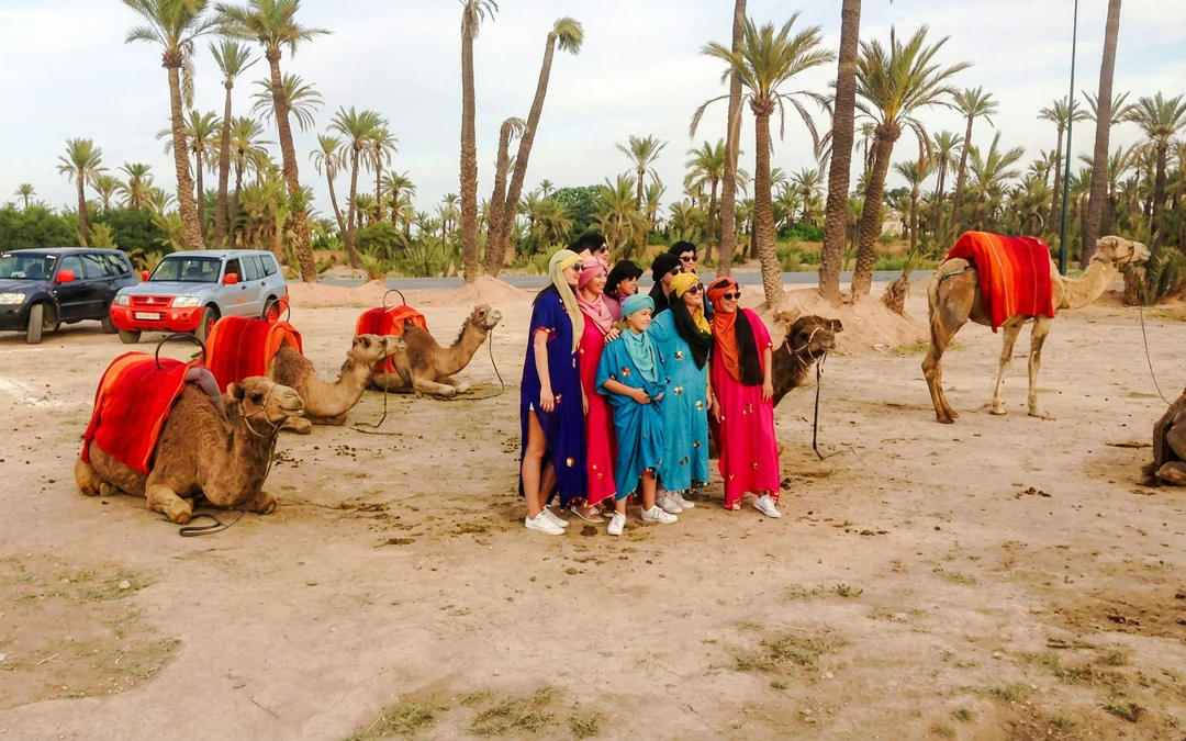Palmeraie Camel and Quad Bike Rides with Hotel Transfers Image 3